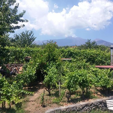 Sorbello Dell'Etna Βίλα Milo Εξωτερικό φωτογραφία
