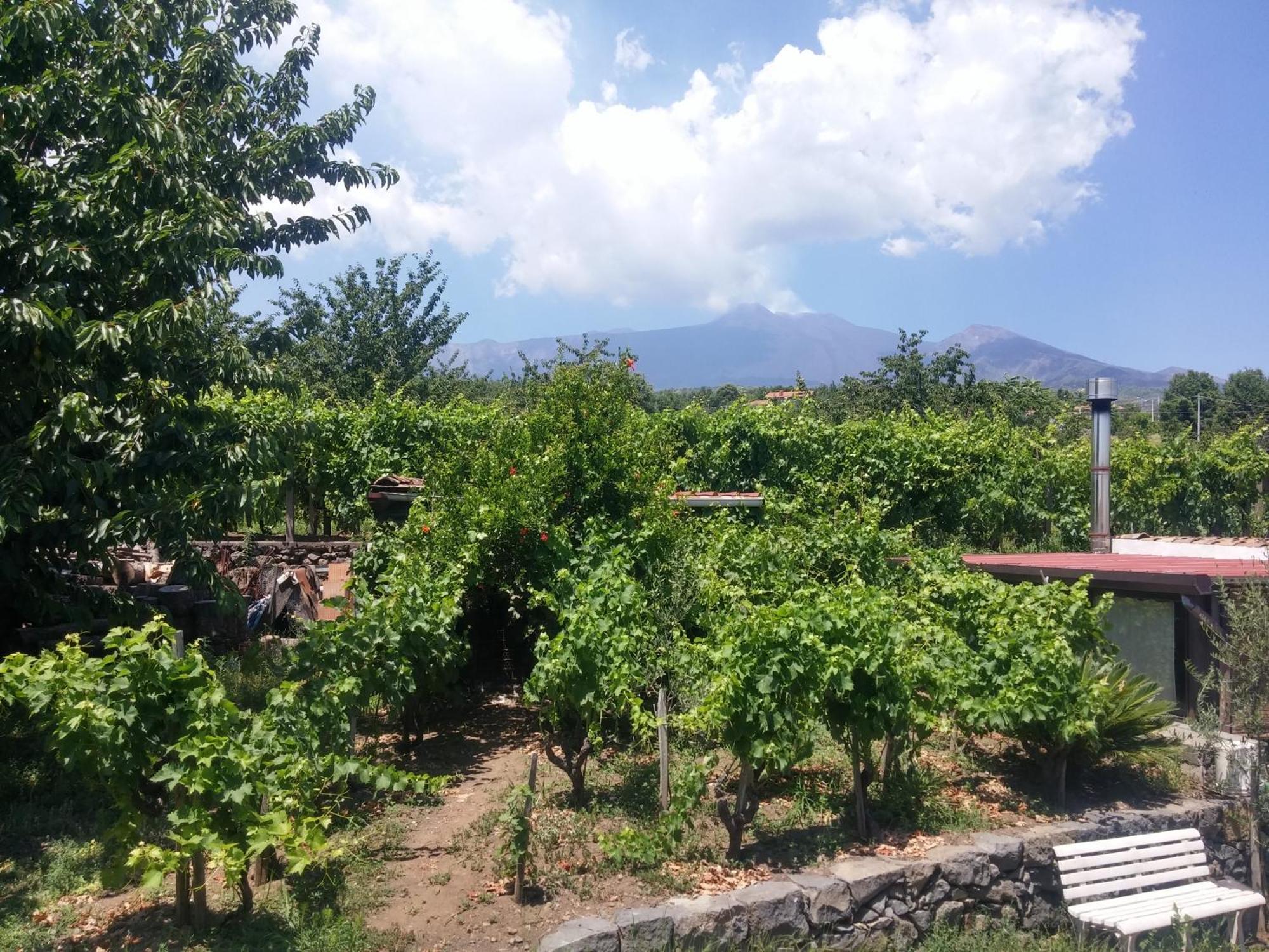 Sorbello Dell'Etna Βίλα Milo Εξωτερικό φωτογραφία